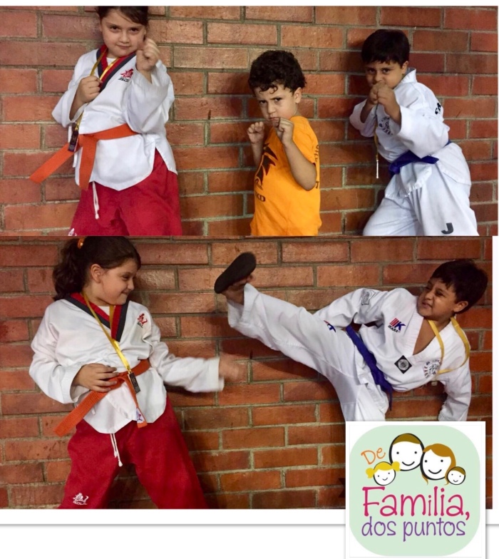 Taekwondo family